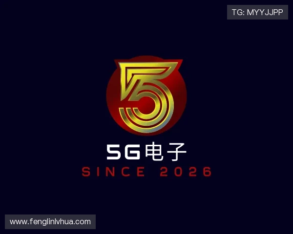了解YGG电子